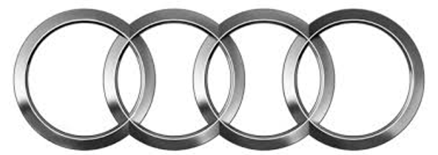 AUDI oil seals